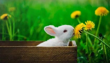 爱游戏综合娱乐-中超球队冬训计划公布着重攻防转换，中超冬歇期多长时间