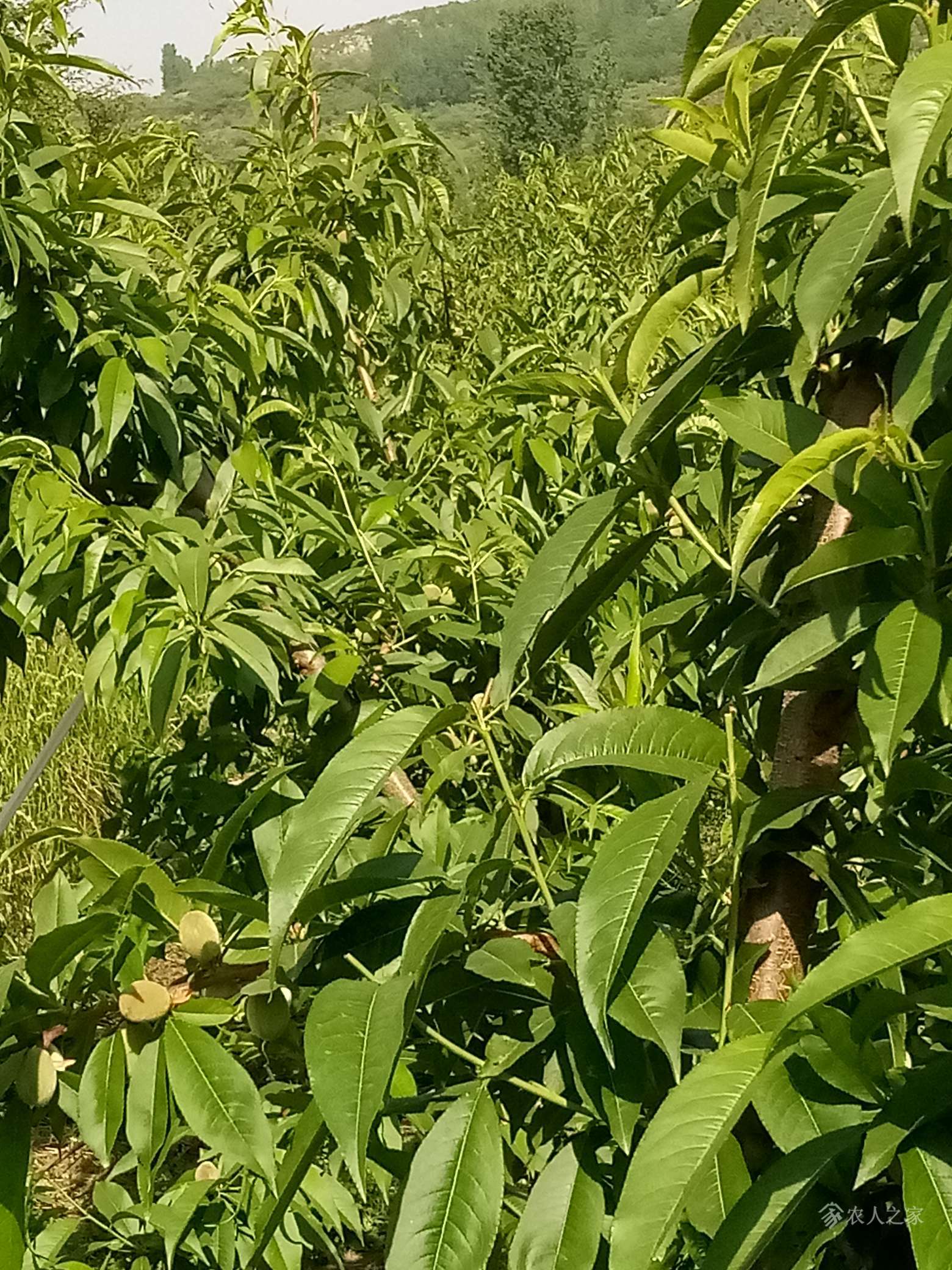 AYX GAME-包含特色青训“绿色+智能+专业”行业生态逐步成型，行业竞争力不断增强的词条