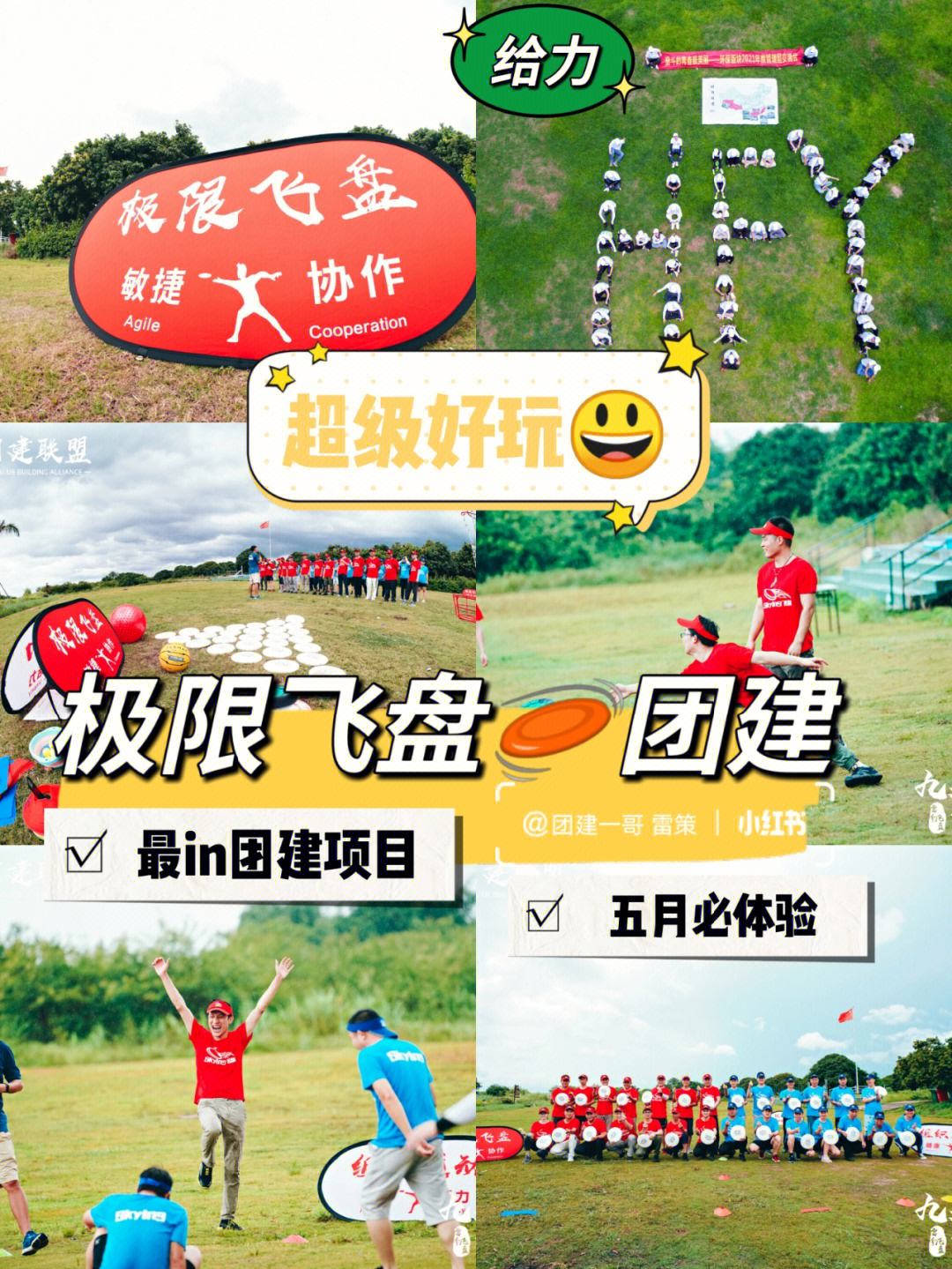 世界极限飞盘挑战，团队合作的新高点