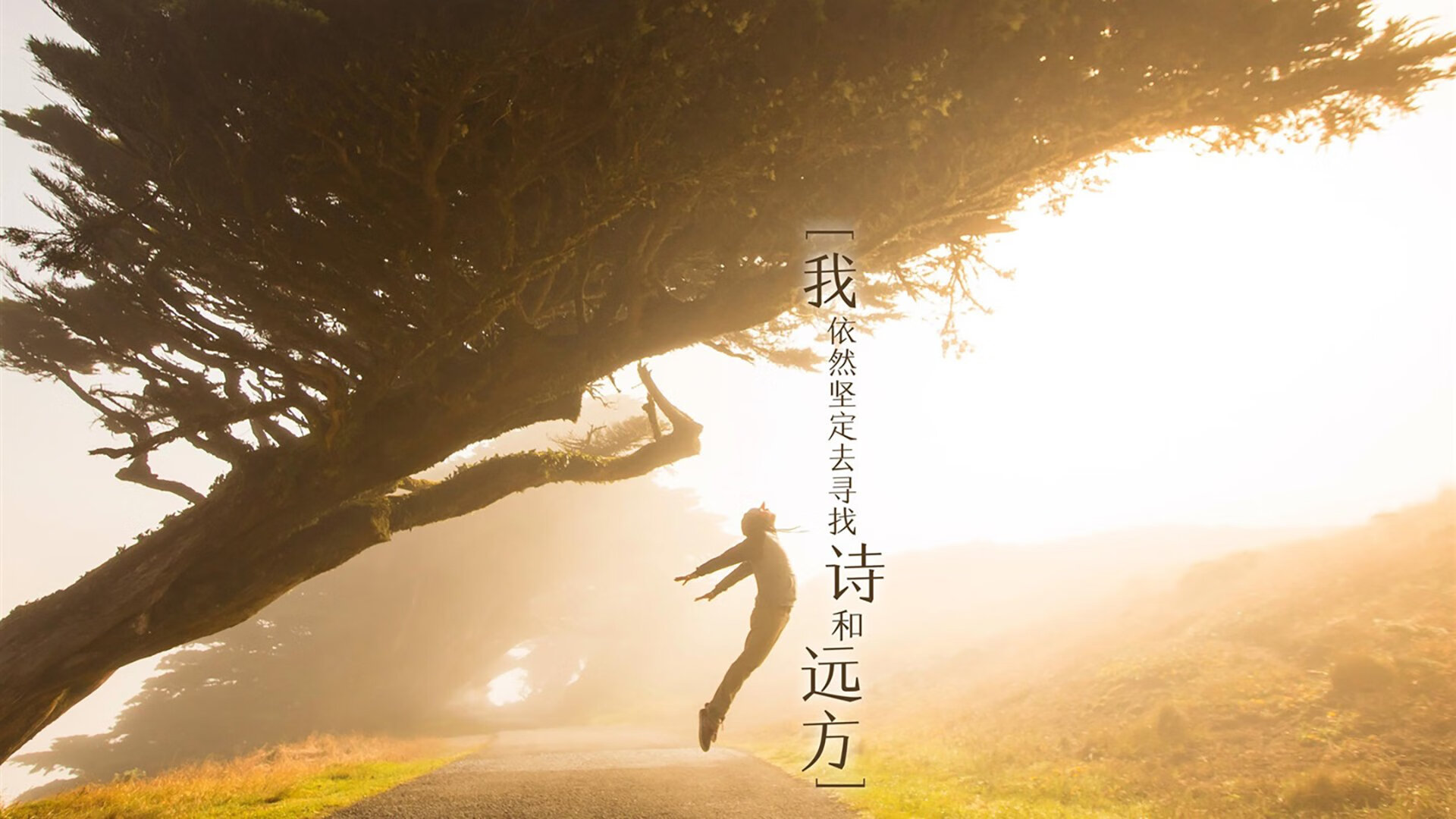 中国篮球教练员团队协作机制优化及沟通技巧研究，篮球队教练职责