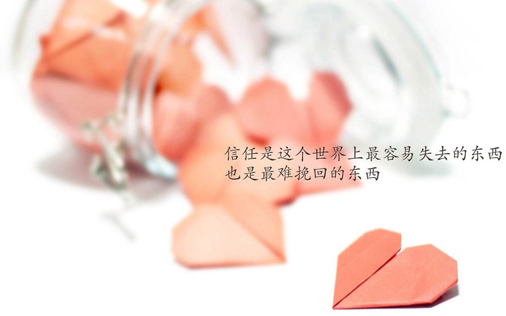 国际足球运动员积极参与环保公益活动，树立良好形象，足球公益项目简介