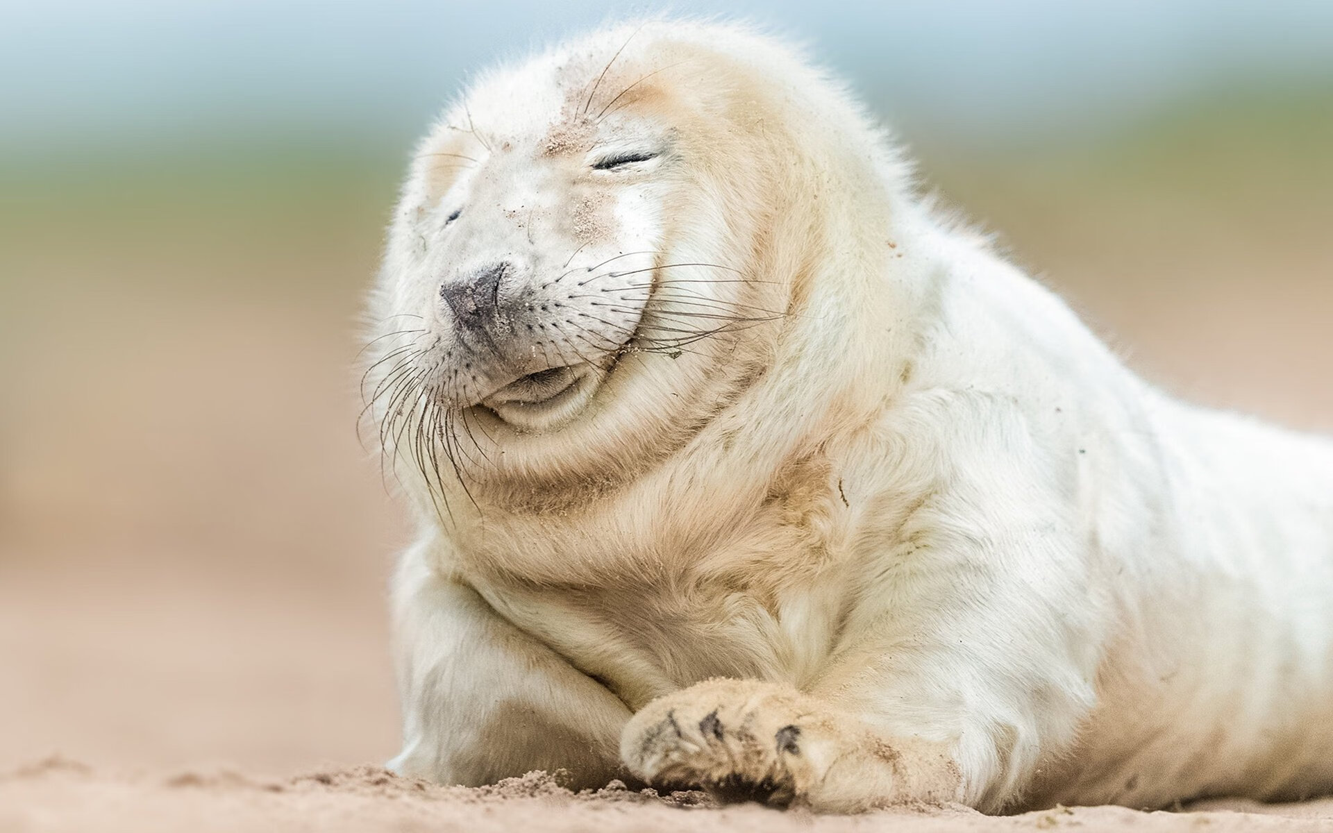 爱游戏娱乐平台-希腊女篮在欧洲锦标赛中再夺金牌，传统豪强持续发力，希腊篮球世锦赛