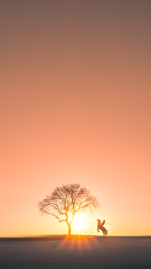 希腊女篮在欧洲锦标赛中再夺金牌，传统豪强持续发力，希腊篮球世锦赛