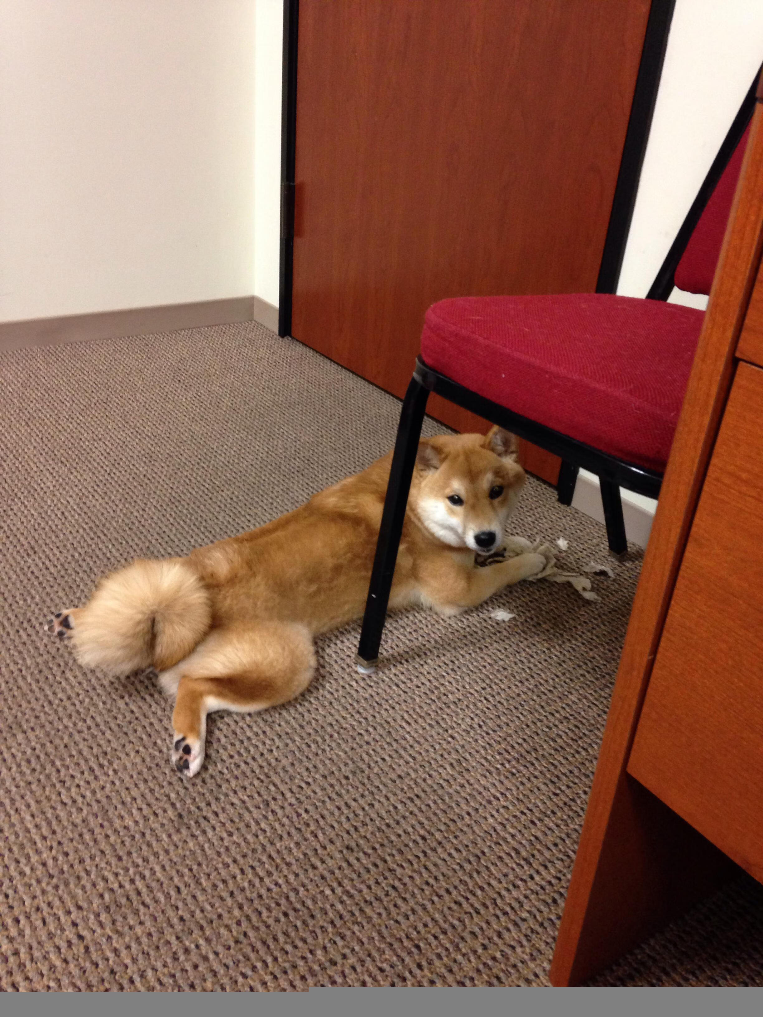 爱游戏娱乐网址-法国新一代天才崭露头角，未来无限光明