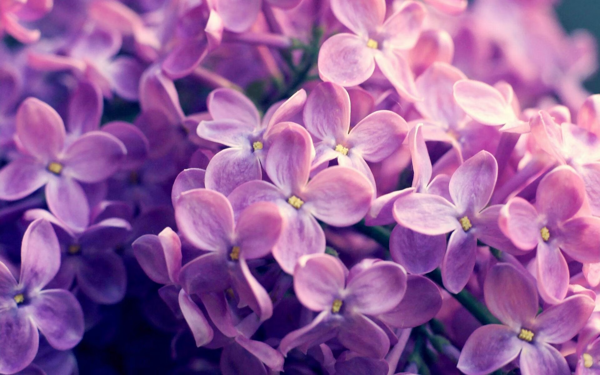 爱游戏娱乐-男子篮球培训注重快速反应与决策能力培养，男孩篮球训练