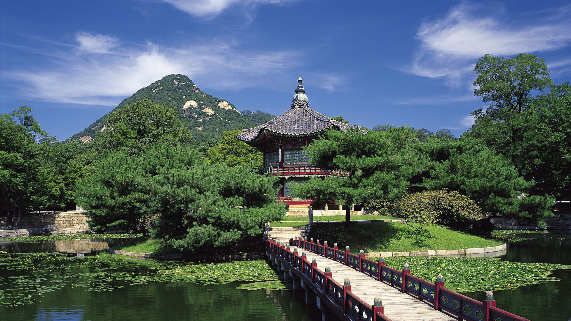 篮球新秀表现抢眼分析,篮球新秀系统