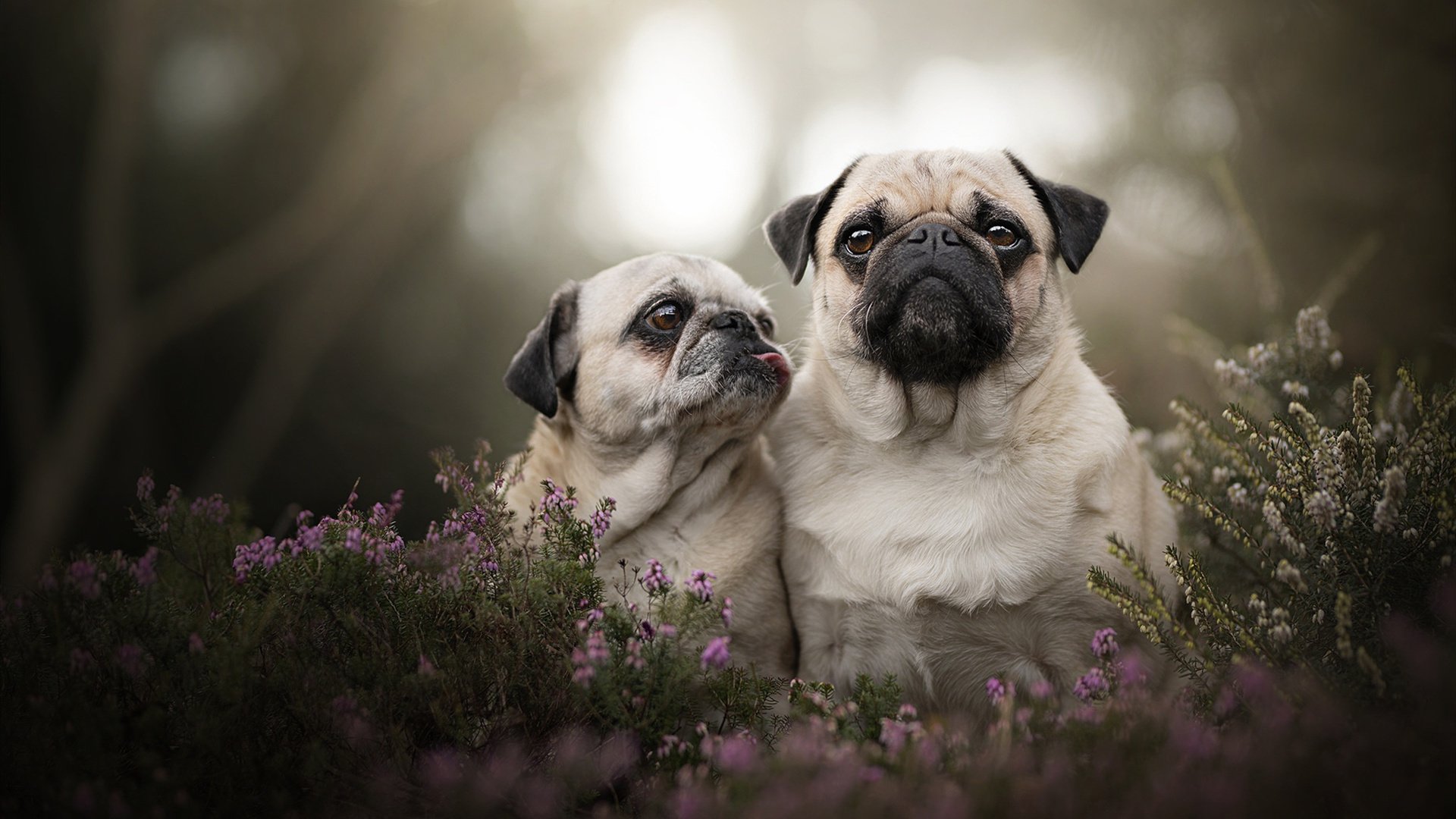 爱游戏在线登录入口-青训营引进先进训练设备提升球员技术水平，青训营百度百科