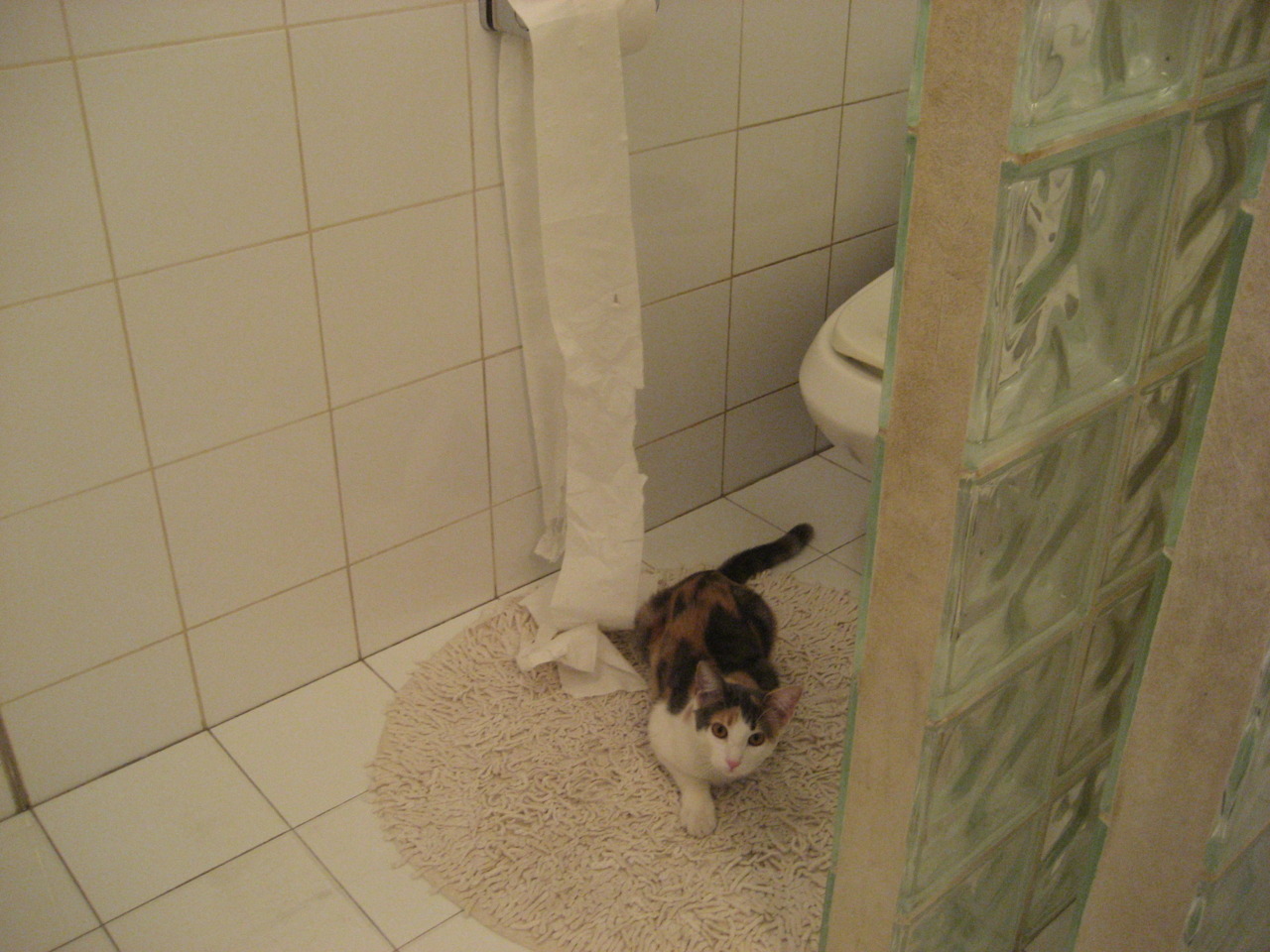 爱游戏娱乐网址-马刺助教重点培养替补球员提升板凳战力，马刺培养的球员