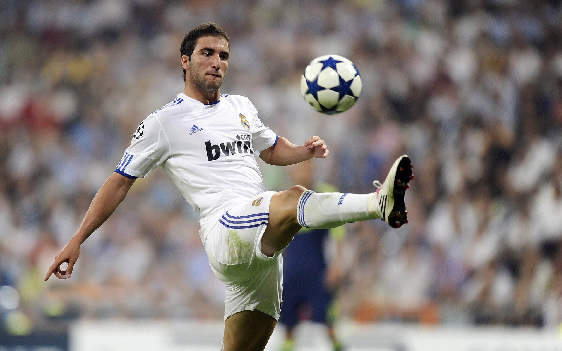 青训“专业引领+产业创新”在行业中实现新突破